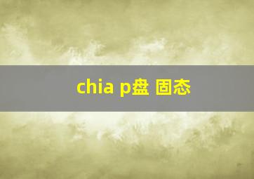 chia p盘 固态